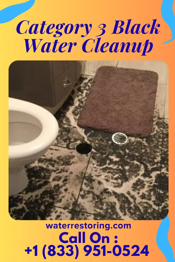 Category 3 Black Water Cleanup in Boyd, WI
