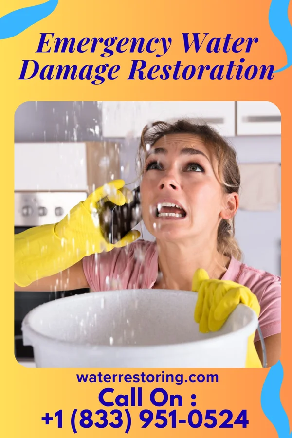 Emergency Water Damage Restoration in Boyd, WI